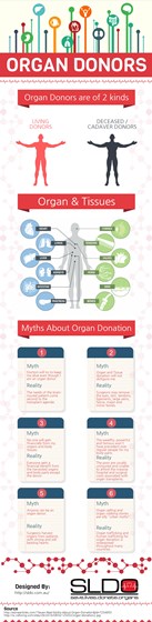 Infographic: Organ Donors